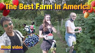 The Best Farm In America | Indian Vlogger | Hindi Vlog