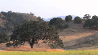 That&#39;s Why I Buried Mama in Our Backyard