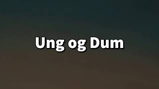 Ung Og Dum (LYRICS VIDEO) - LucTheGeek - YouTube