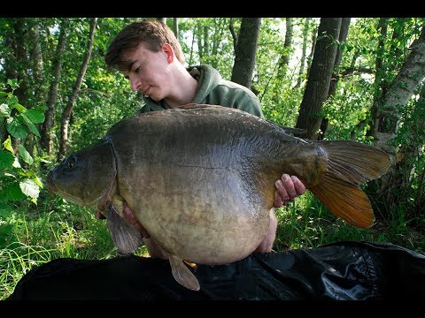 download lagu mp3 mp4 Edersee Karpfen, download lagu Edersee Karpfen gratis, unduh video klip Edersee Karpfen