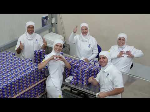 Somos un Negocio Global, Innovador y Sostenible