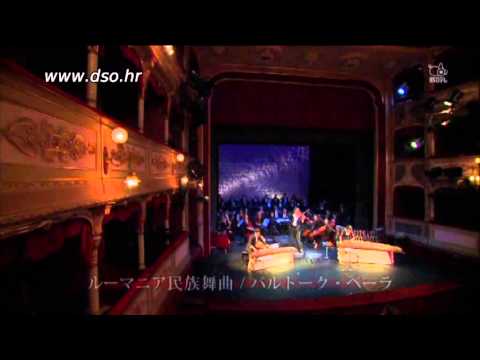 Dubrovački simfonijski orkestar