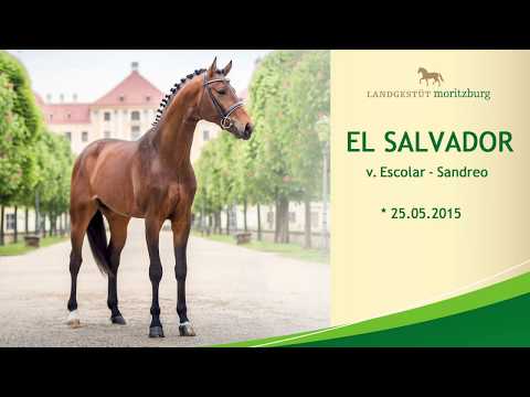 EL SALVADOR v. Escolar - Sandreo