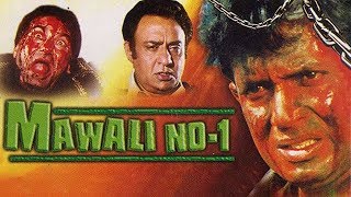 Mawali No 1 (2004) Full Hindi Movie  Mithun Chakra