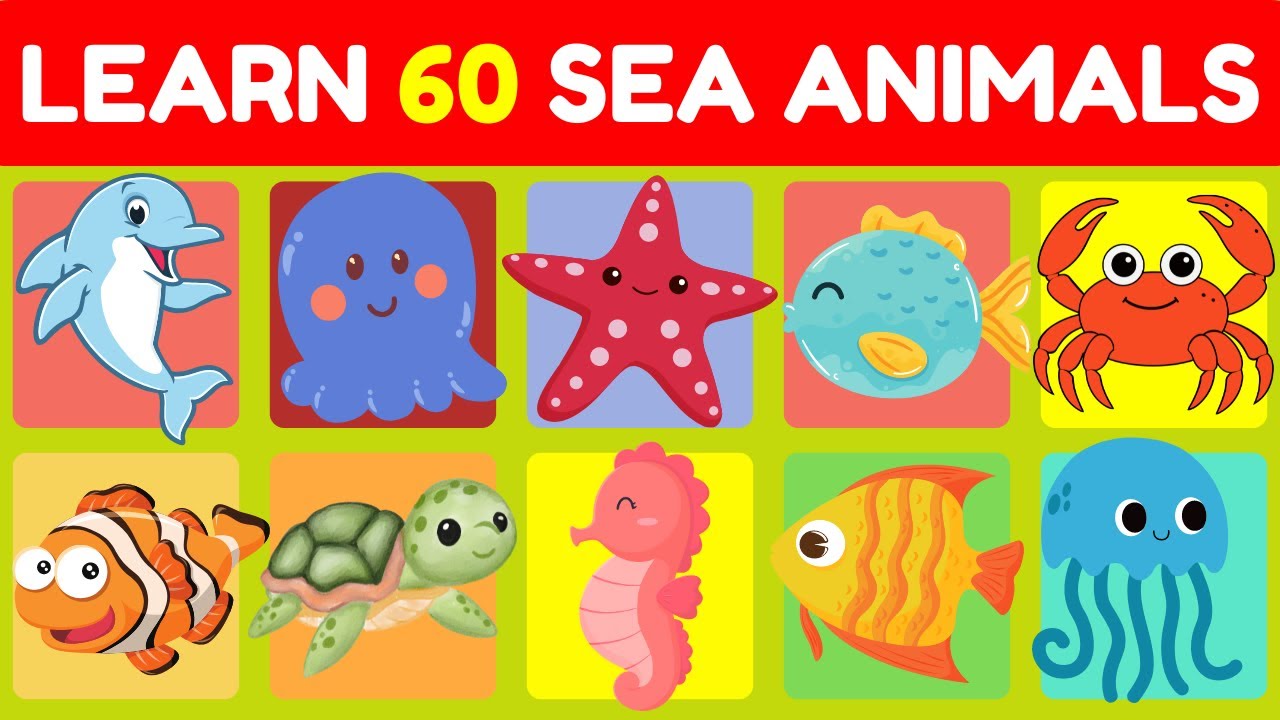 60 Sea Animals Collection - Learning Aquatic Animals Names and Videos