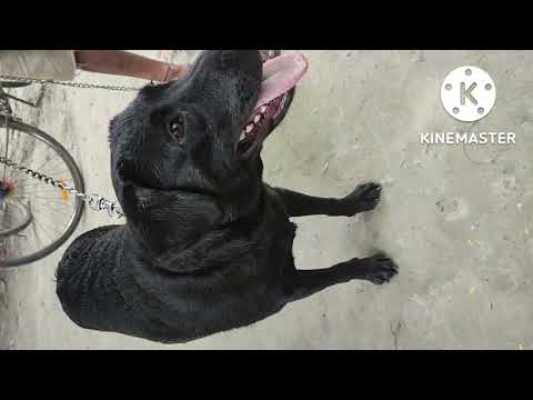 Angni methaow.....,...