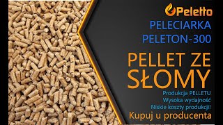 بيع آلة بيليه Peletto Pelletmaschine PELETON-300 | 22kW | 350kg/h - صورة 5 | Machineryline EG جديد آلة بيليه Peletto Pelletmaschine PELETON-300 | 22kW | 350kg/h | صورة 5 - Machineryline