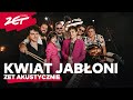 KWIAT JABŁONI Od Nowa Byłominęło Mówię Ci że ZETAKUSTYCZNIE
