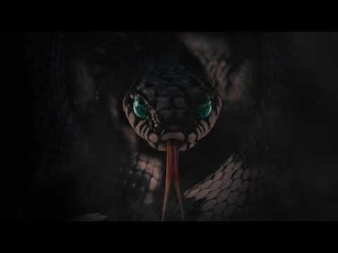 Mishlawi - Homies & Pythons Freestyle (prod. Prodlem)