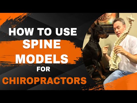 How to use Spine Models for Chiropractors | Dr. Tory Robson