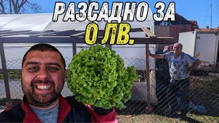 ЖИВОТ НА СЕЛО: КАК НАПРАВИХ ДЪРВЕНО РАЗСАДНО С ПОДРЪЧНИ МАТЕРИАЛИ? 🏡🌱