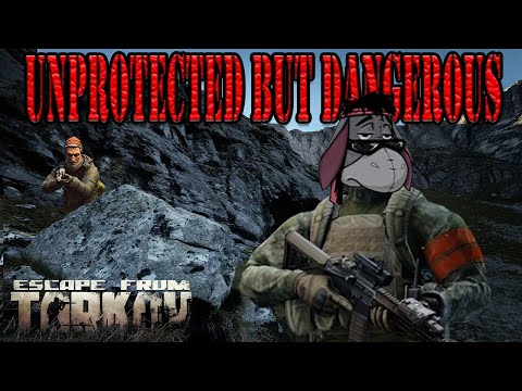 Unprotected but Dangerous [EFT PVE]