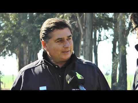 Cabaña El Señuelo previa Palermo - Carlos Ojea Rullan, el toro Anicetto