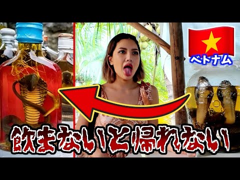 youtube-美容・ダイエット・健康記事2026/03/11 08:23:49