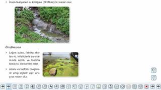 Eğitim Vadisi 10.Sınıf Biyoloji 18.Föy Güncel Çevre Sorunları Konu Anlatım Videoları