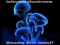 Infected Mushroom - Dancing With Kadafi