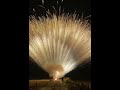 Fireworks Shorts