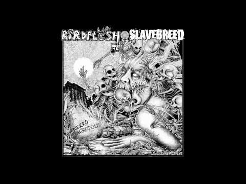 Birdflesh / Slavebreed - Necroacropolis split 7" FULL EP (2015 - Grindcore / Deathgrind)
