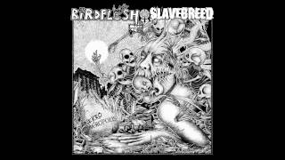 Birdflesh / Slavebreed - Necroacropolis split 7