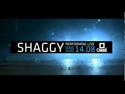 Shaggy at Carré