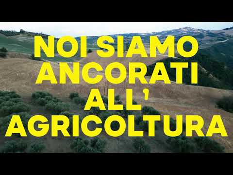 Breaders Campagna Crowdfunding 2025