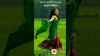 Download lagu Njavalan chola kuyile song mp3 Download lagu Njavalan chola kuyile song mp3