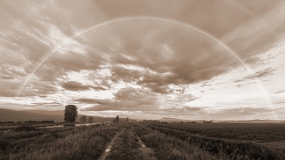 ヒカリノアトリエ - Mr.Children（フル）
