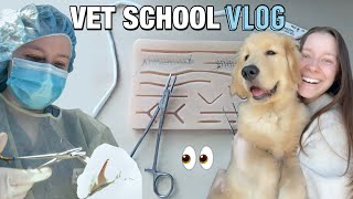 DAY IN THE LIFE OF A VET STUDENT: ophthalmology lab + studying for finals 👀