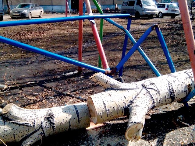 Дерево рухнуло на детскую площадку