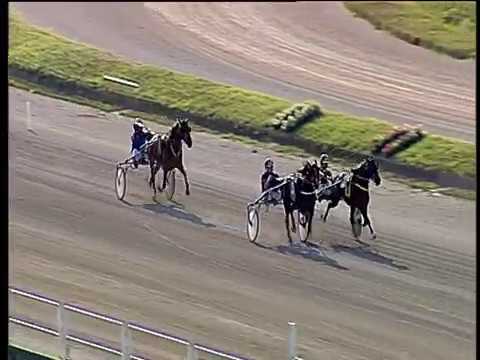 Trotto 16/06/2018 - 2ª prova di qualifica