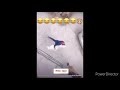 Funny Movement Karo Na Virus
