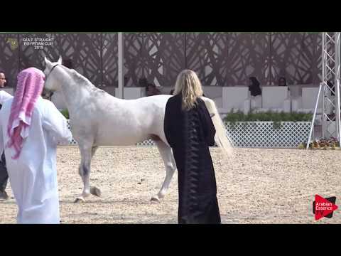 N.123 AJMAL NADEER - Gulf SE Cup 2018