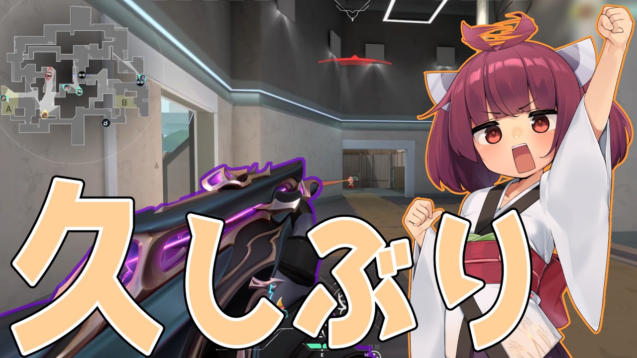 【VALORANT】VALORANTan