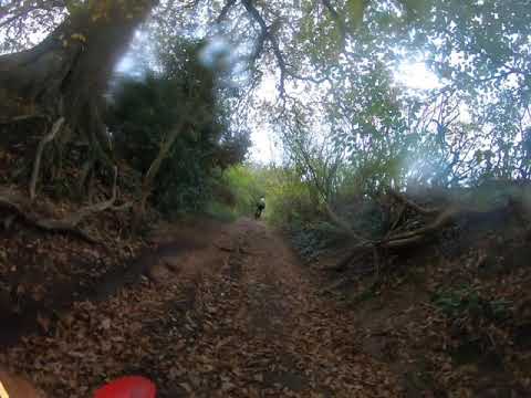 Hungerford rock steps 23/11/21