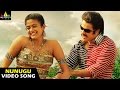 Yamadonga Songs | Nunugu Misalodua Video Song | Jr NTR, Priyamani | Sri Balaji Video