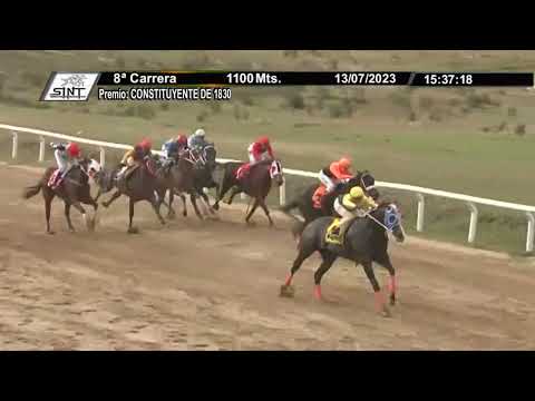 SINT FLORIDA 230713 c08 - 1° EL SHAMAN