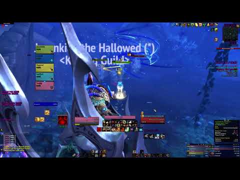 Mists of Tirna Scithe Mythic +15 score +1 FORTIFIED SPITEFUL VOLCANIC PRIDEFUL protection paladin