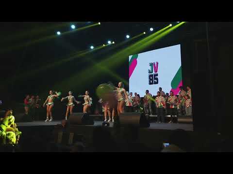 JUVENTUDE VAREIRA. ENREDOS DAS ESCOLAS DE SAMBA DE OVAR. CARNAVAL DE OVAR 2023