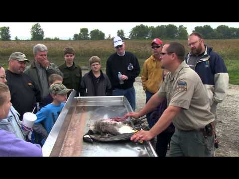 , title : 'Canada Goose Processing from Field to Table | Indiana DNR'