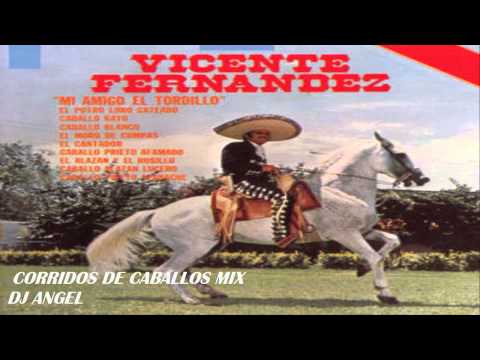 VICENTE FERNANDEZ CORRIDOS DE CABALLOS MIX