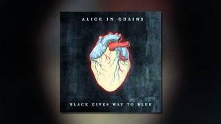 Alice In  Chains - Private Hell HQ (Black Gives Way to Blue) 2009