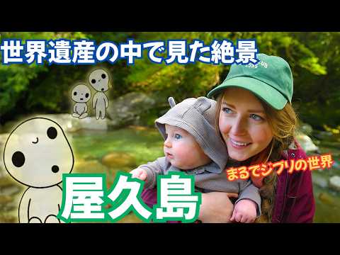 A Foreigner Discovers the Magical Forest of Yakushima – Japan’s World Heritage Site
