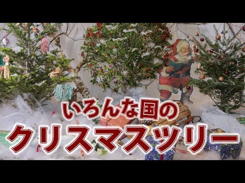 園芸 ニュージーランドのクリスマスツリー、ポフツカワ
