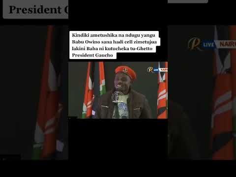 Kindiki ametushika na Babu Owino tukivuta bhangi ~ Gaucho cracks Uhuru Kenyatta's ribs 😅