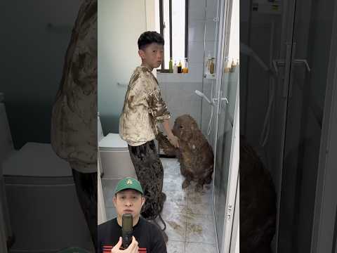 MAMA MARAHIN ADIK DAN ANJING MANDI KARENA KOTOR‼️😱 @A2FactsForid #remix #dubbing #trending