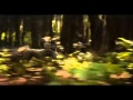 EL LIBRO DE LA SELVA Trailer Pelicula 2016