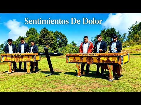 Sentimiento De Dolor   El Chapo Y Su Marimba Los Bravos De La Sierra 