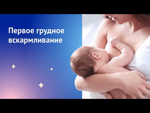 Кормление новорожденных. Грудное вскармливание после родов