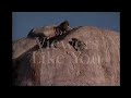 Kratts Creatures Funding Credits 1997