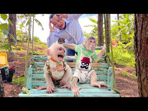 Unbelievable! Monkey Max takes baby monkey into forest play and the ending!